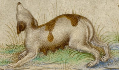 ساعات بواسطة تاديو كريفيلي